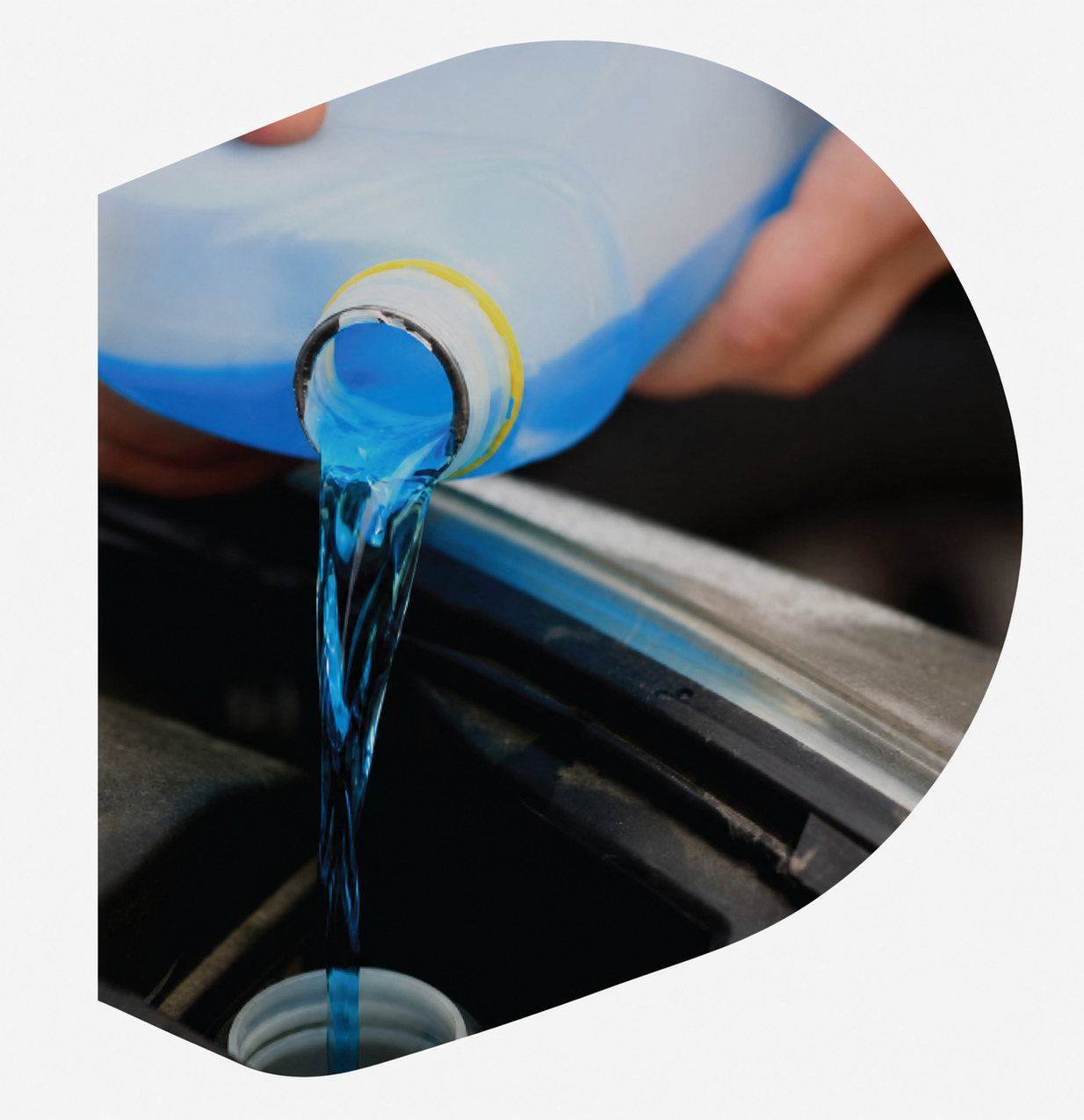 Carga de refrigerante azul Neutrón en el radiador de un vehículo